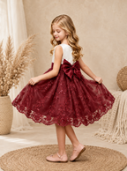 Burgundy Ivory Embroidery Floral Sequin Knee Length Maroon Dress