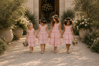 Linen Blush Pink Chiffon Linen Spaghetti Flower Girl Knee Length Toddler Junior Dress