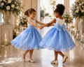 Baby Blue Embroidery Floral Sequin Knee Length Birthday Wedding Pageant Holiday Flower Girl Bridesmaid Dress