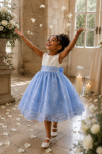 Baby Blue Embroidery Floral Sequin Knee Length Birthday Wedding Pageant Holiday Flower Girl Bridesmaid Dress