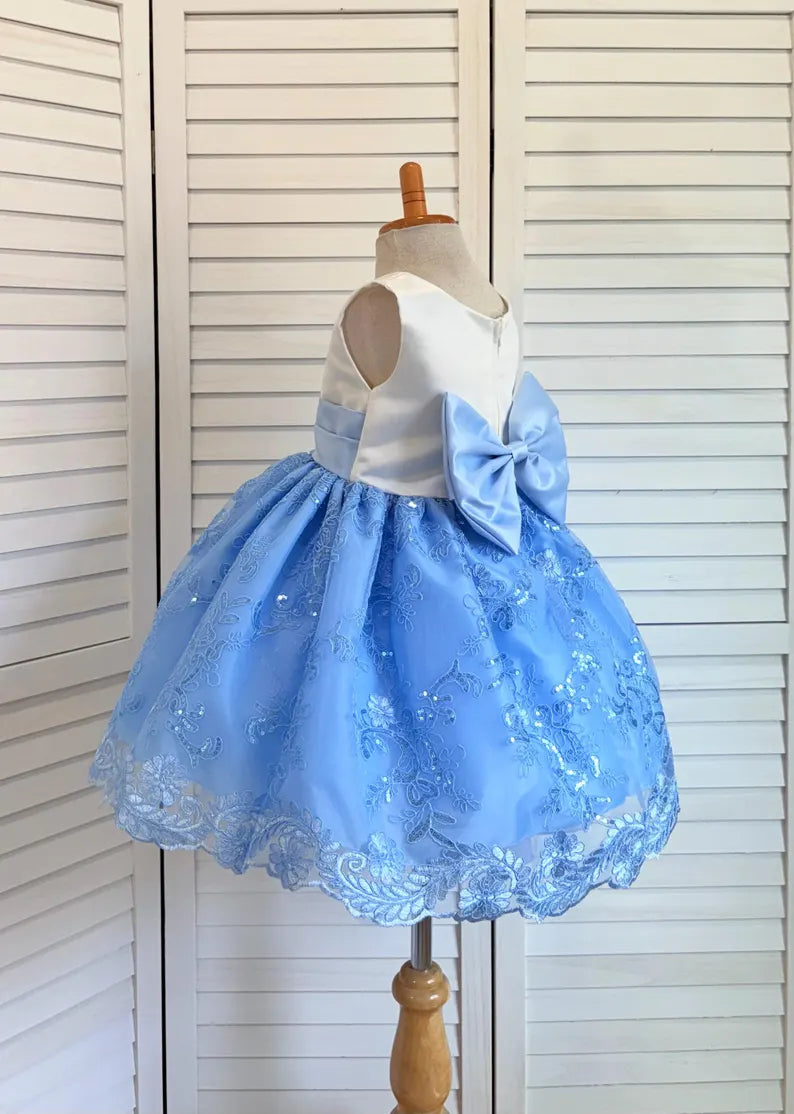 Baby Blue Embroidery Floral Sequin Knee Length Birthday Wedding Pageant Holiday Flower Girl Bridesmaid Dress