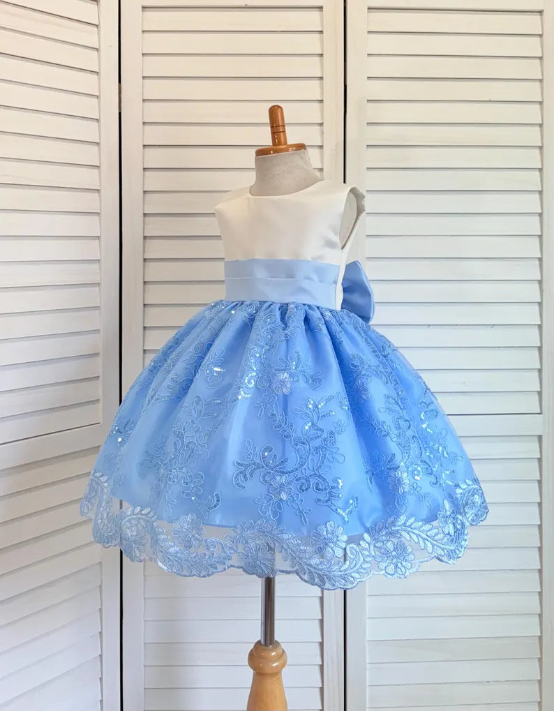 Baby Blue Embroidery Floral Sequin Knee Length Birthday Wedding Pageant Holiday Flower Girl Bridesmaid Dress