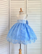 Baby Blue Embroidery Floral Sequin Knee Length Birthday Wedding Pageant Holiday Flower Girl Bridesmaid Dress