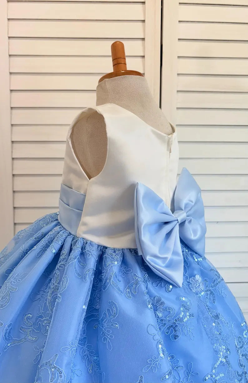 Baby Blue Embroidery Floral Sequin Knee Length Birthday Wedding Pageant Holiday Flower Girl Bridesmaid Dress