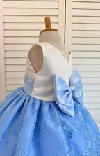 Baby Blue Embroidery Floral Sequin Knee Length Birthday Wedding Pageant Holiday Flower Girl Bridesmaid Dress