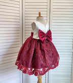 Burgundy Ivory Embroidery Floral Sequin Knee Length Maroon Dress