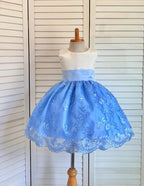 Baby Blue Embroidery Floral Sequin Knee Length Birthday Wedding Pageant Holiday Flower Girl Bridesmaid Dress