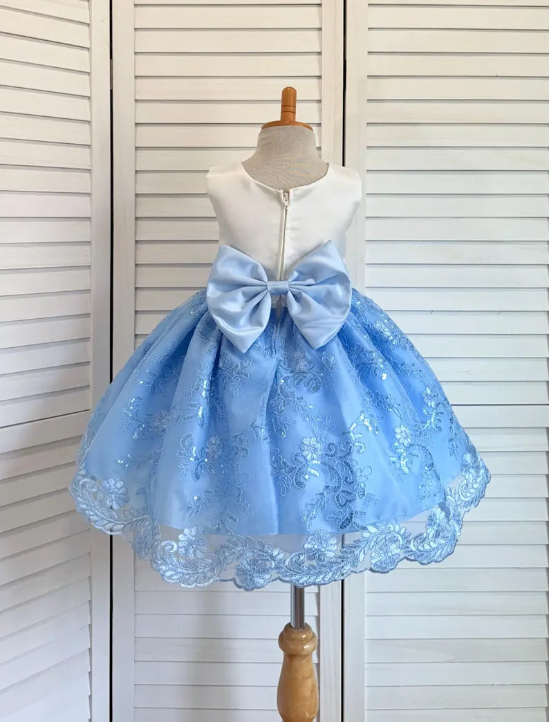 Baby Blue Embroidery Floral Sequin Knee Length Birthday Wedding Pageant Holiday Flower Girl Bridesmaid Dress