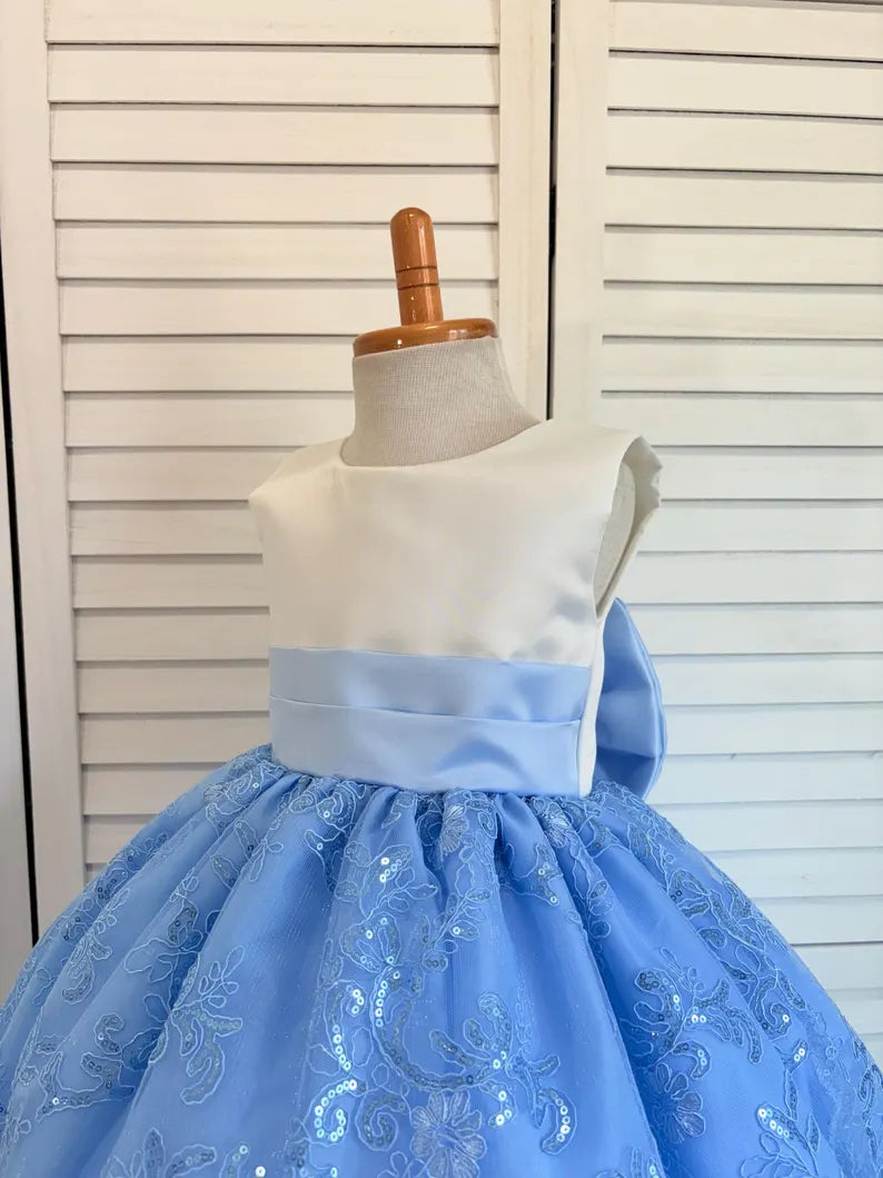 Baby Blue Embroidery Floral Sequin Knee Length Birthday Wedding Pageant Holiday Flower Girl Bridesmaid Dress