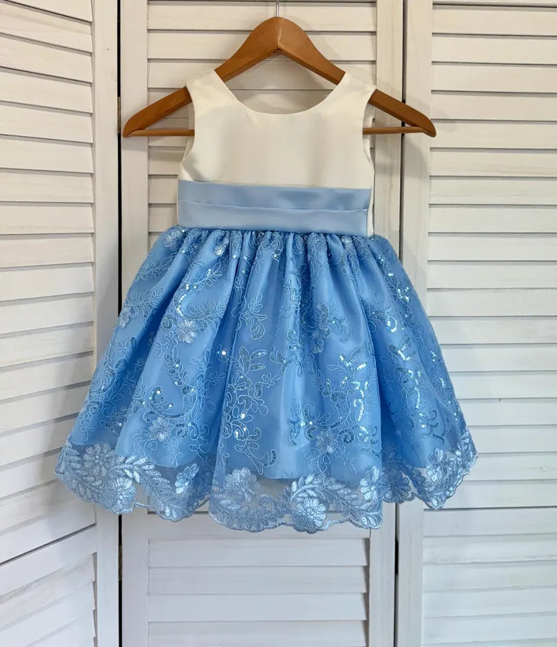 Baby Blue Embroidery Floral Sequin Knee Length Birthday Wedding Pageant Holiday Flower Girl Bridesmaid Dress