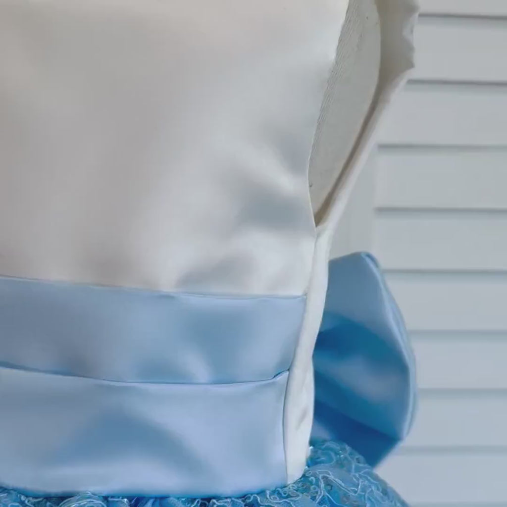 Baby Blue Embroidery Floral Sequin Knee Length Birthday Wedding Pageant Holiday Flower Girl Bridesmaid Dress