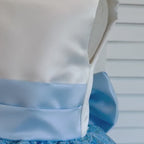 Baby Blue Embroidery Floral Sequin Knee Length Birthday Wedding Pageant Holiday Flower Girl Bridesmaid Dress